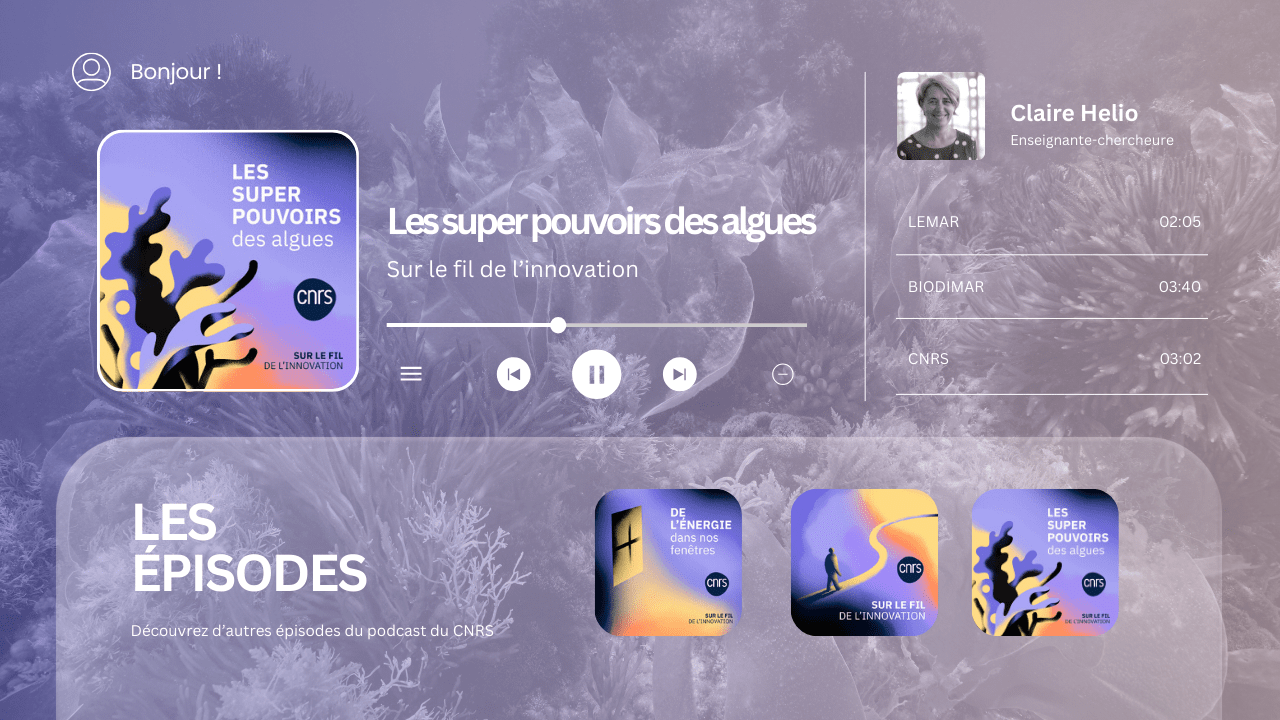 Les super pouvoirs des algues : un podcast du CNRS à découvrir