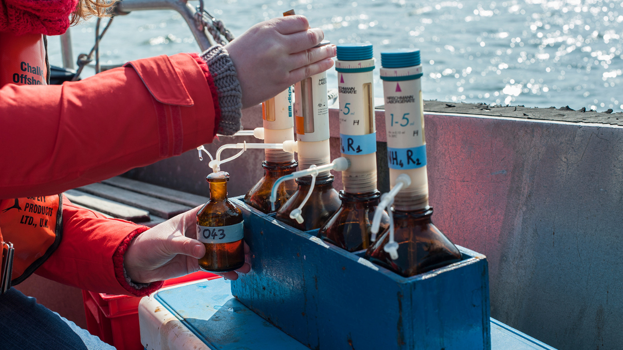 "Chimie or Not to Be?" : une vidéo pour présenter le master Chimie